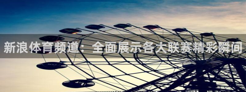 松鼠网官方下载：新浪体育频道：全面展示各大联赛精彩瞬间