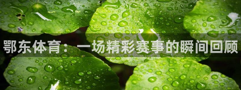 新闻图片