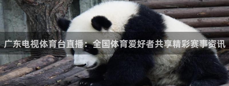 松鼠体育在线直播视频：广东电视体育台直播：全国体育爱好者共享精彩赛事资讯